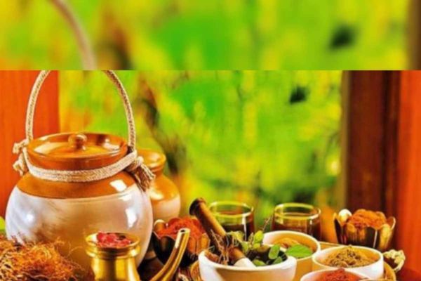 दिल्‍ली में लगेगा आयुर्वेद फूड एक्‍सपो, मिलेंगे बीमारियां भगाने के नुस्‍खे