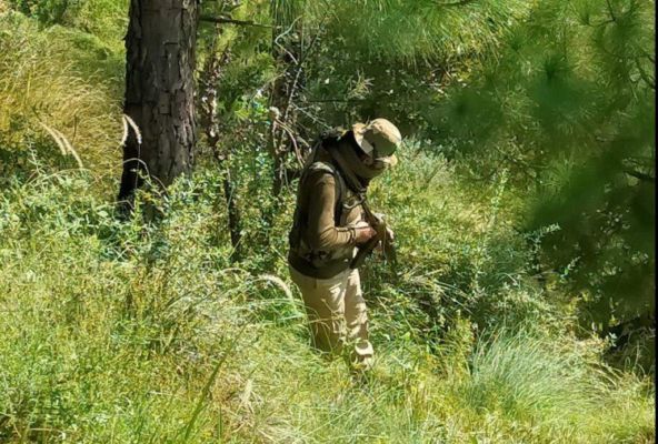 कश्मीर: आतंकियों पर बड़े प्रहार की तैयारी, लोगों को घरों से बाहर न निकलने की हिदायत