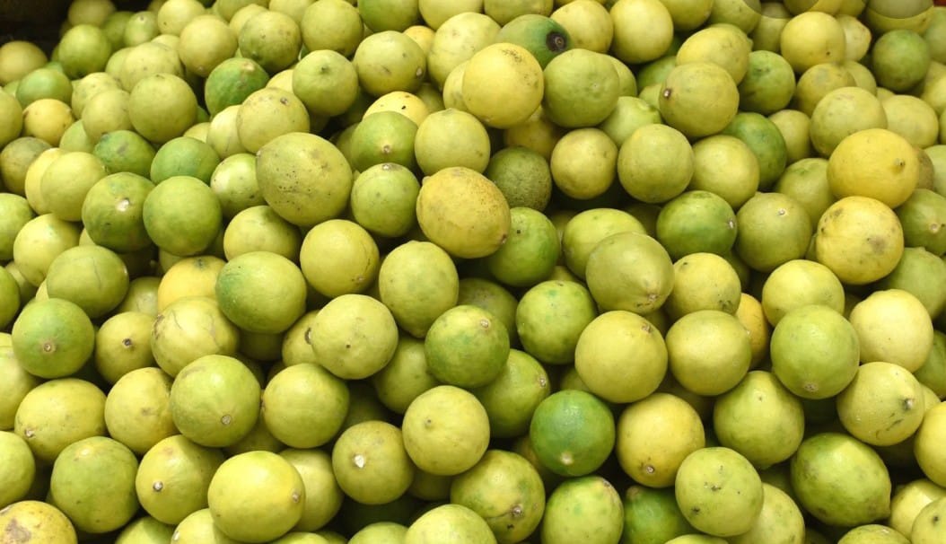 शाहजहांपुर में चोरों ने नींबू और सब्जियों की चोरी