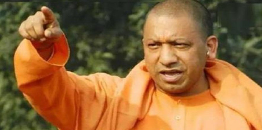 दूध देना बंद कर देने के बाद बेसहारा गायों को छोड़ वालों के खिलाफ होगी सख्त कार्रवाई