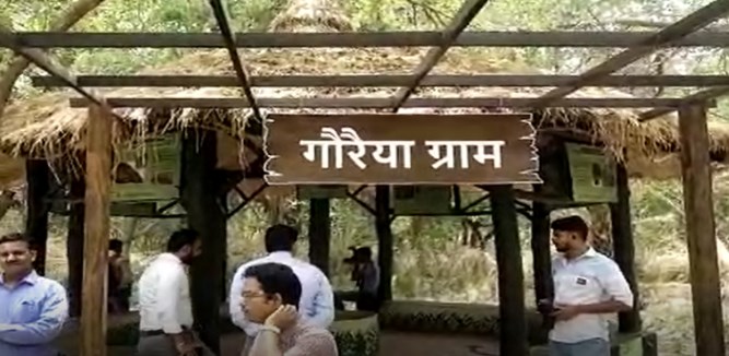 दिल्ली सरकार की अनोखी पहल, ‘गौरैया ग्राम’ की गई स्थापना, जानें इसकी खासियत