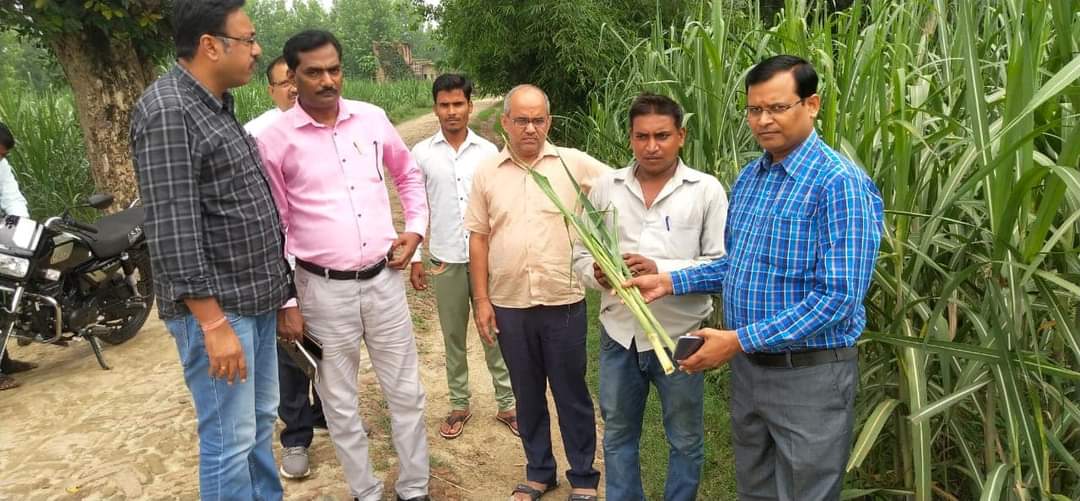 शाहजहांपुर: जिला गन्ना अधिकारी ने पिपरिया ग्राम में किया निरीक्षण