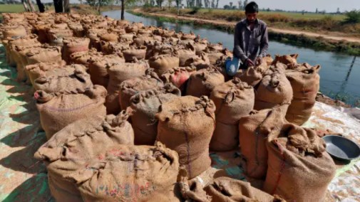 गेहूं के बाद चावल के एक्सपोर्ट पर भारत के बैन से दुनिया में अफरातफरी, 4 दिन में ही बढ़ी महंगाई