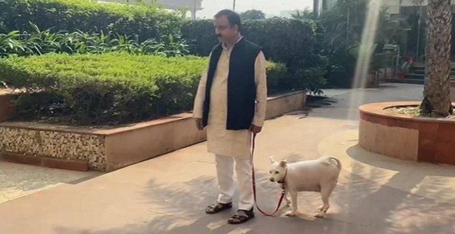नोएडा में डॉग पॉलिसी लागू: कुत्ता पालने पर हर साल देने होंगे 500 रुपये, रजिस्ट्रेशन जरूरी