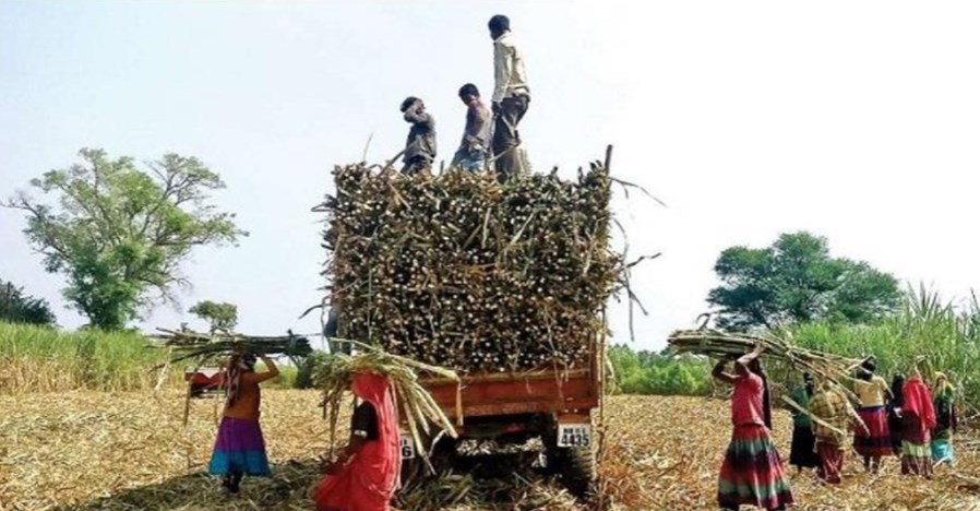 किसानों की मेहनत की कमाई पर डाका डालने वाले अधिकारियों को भेजें जेल