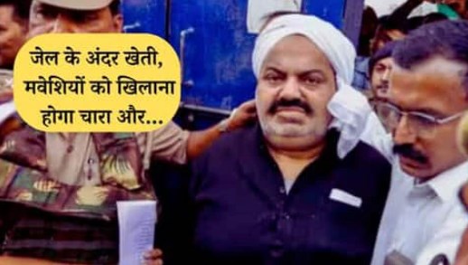 पहले झाड़ू फिर भैंस को नहलाना, बदले में अतीक अहमद को मिलेगी 25 रुपए दिहाड़ी