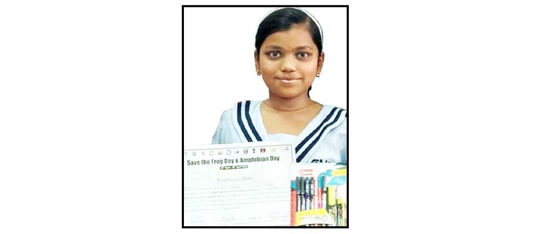 CMS student wins first prize in Collage Competition