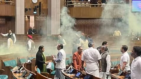 लोकसभा में कूदे शख्स को पहले सांसदों ने पकड़ा, फिर जमकर की कुटाई