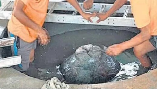 ज्ञानवापी में सील वुजूखाने का शनिवार को खुलेगा ताला, पानी की होगी सफाई, SC ने दिया था आदेश
