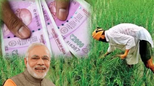 दो दिनों में किसानों को पीएम मोदी का डबल तोहफा, धान समेत 14 फसलों की MSP बढ़ाई