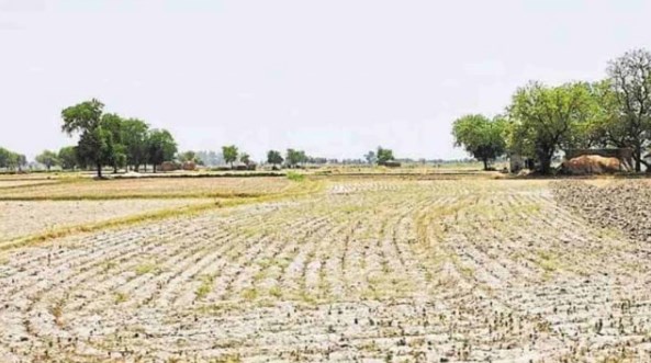झारखंड में लगातार तीसरे साल सूखे की आहट, CM ने अधिकारियों को दिए इस बात के निर्देश