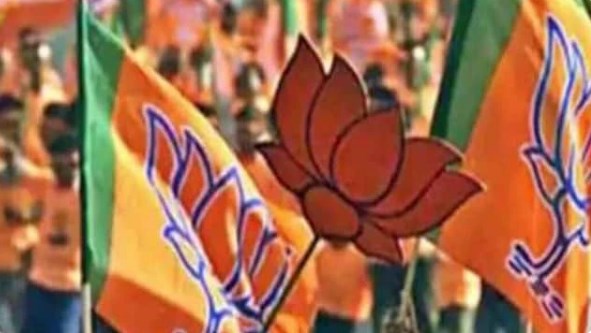 यूपी उपचुनाव: 9 विधानसभा सीटों पर खुद लड़ने की तैयारी में भाजपा, एक सीट रालोद देगी पार्टी