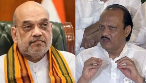 महाराष्ट्र में एक पार्टी के दम पर सरकार नहीं बन सकती. अमित शाह के आत्मनिर्भरता वाले बयान पर अजित पवार