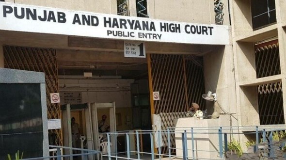 परीक्षा में AI कंटेट का आरोप लगा यूनिवर्सिटी ने कर दिया फेल, हाई कोर्ट पहुंच गया छात्र
