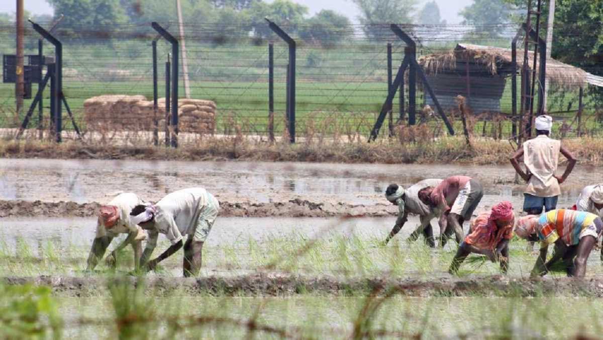 अटारी-वाघा सीमा पर बीएसएफ का अलर्ट, किसानों को दो दिन में फसल काटने का आदेश