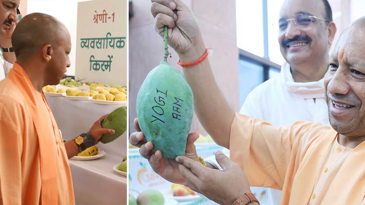 Lucknow Aam Mahotsav 2025: लखनऊ में आम महोत्सव 2025 का आगाज़, सीएम योगी ने लंदन-दुबई भेजे आम