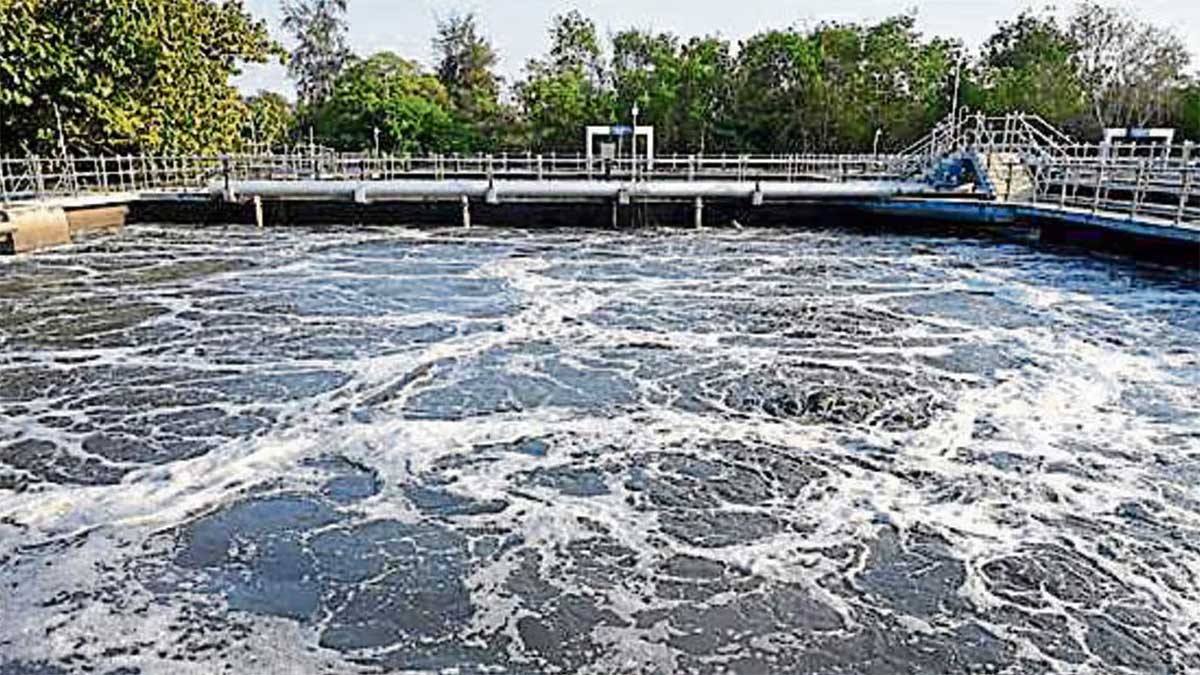Greater Noida में अब गंदगी से उगेगी हरियाली! सोलर तकनीक से एसटीपी के स्लज से बनेगी खाद, IIT दिल्ली कर रहा रिपोर्ट तैयार