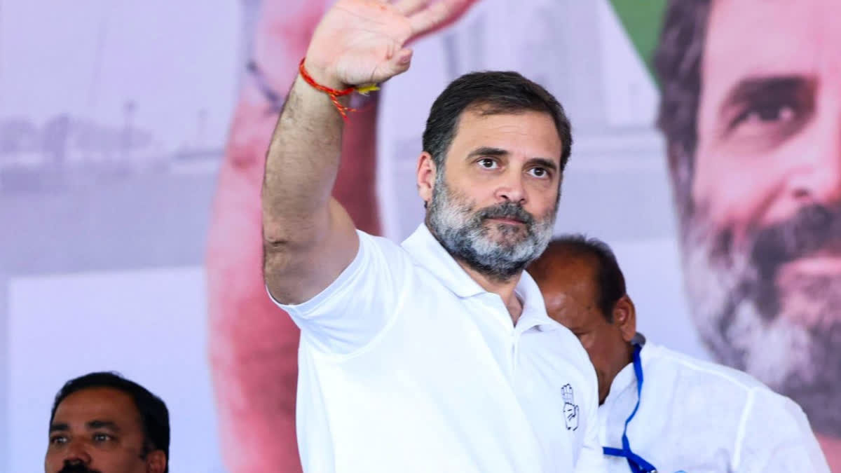 राहुल गांधी का रायबरेली दौरा: ‘वोट चोर, गद्दी छोड़’ नारे से साधा निशाना, कार्यकर्ताओं में दिखा उत्साह