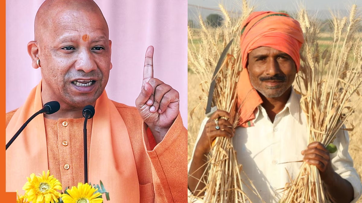 यूपी के किसानों के लिए बड़ी राहत, बढ़ी MSP, 1 अक्टूबर से शुरू होगी मोटे अनाज की खरीद