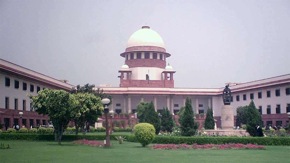सिर्फ काटना नहीं, एक्सीडेंट भी बड़ी आफत: आवारा कुत्तों पर सुप्रीम कोर्ट सख्त; जजों ने दिया खुद का उदाहरण