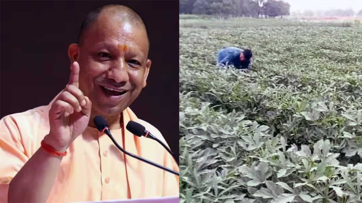 गंगा किनारे खेती में जैविक क्रांति, 3370 ऑर्गेनिक क्लस्टर से 90 हजार किसान बने आत्मनिर्भर