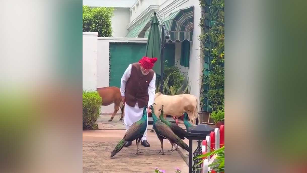 Independence Day पर PM मोदी का ये खास अंदाज हुआ Viral, मोरों और पुंगनूर गायों के साथ दिखा दिलचस्प नजारा