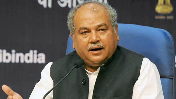 निगम चुनावों में बीजेपी को मिली करारी हार, कृषि मंत्री तोमर ने बताया क्‍यों हुआ ऐसा