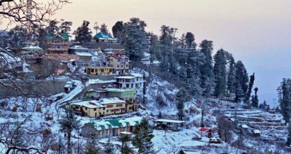 हिमाचल में अप्रैल में बर्फबारी ने तोड़ा 20 साल का रिकॉर्ड, बगीचों में तबाही का मंजर