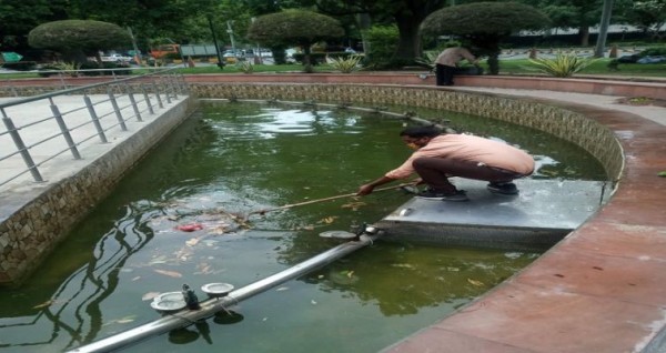 दिल्ली: एनडीएमसी ने तेज की लार्वा विरोधी गतिविधियां