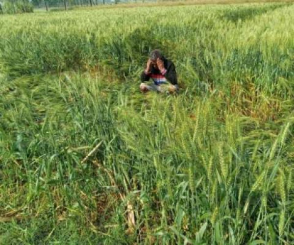 योगी सरकार ने किसानों को दी बड़ी राहत, खेती के कामों में लगे लोगों पर लागू नहीं होगा लॉकडाउन