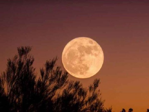 इस मंत्र से करें चंद्रमा का ध्यान, बनेंगे मन के काम
