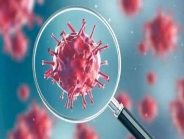 डब्ल्यूएचओ: पालतू जानवरों से संक्रमण के साक्ष्य नहीं