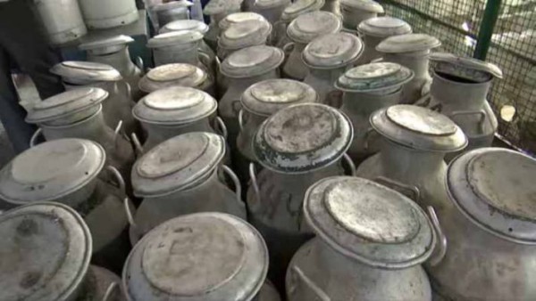 हरियाणा: दूध को लेकर खाप के फरमान का आज पहला दिन, दिखा 2 फीसदी असर