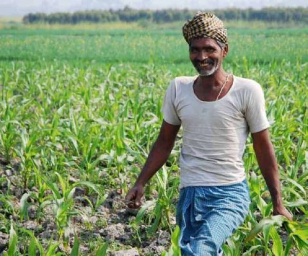 कोरोना महामारी के बीच किसानों को बड़ी राहत
