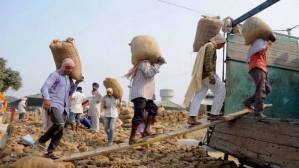 पंजाब में किसानों को एमएसपी के सीधे भुगतान में फंसा पेंच