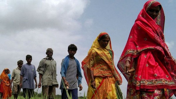 बिहार के किसान आंदोलन क्यों नहीं कर रहे हैं?