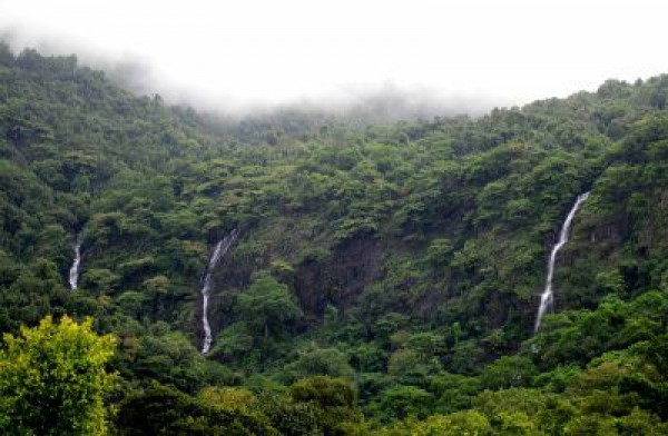 बॉम्बे हाईकोर्ट ने गोवा जलप्रपात के लिए स्थायी सड़क बिछाने पर रोक लगाई