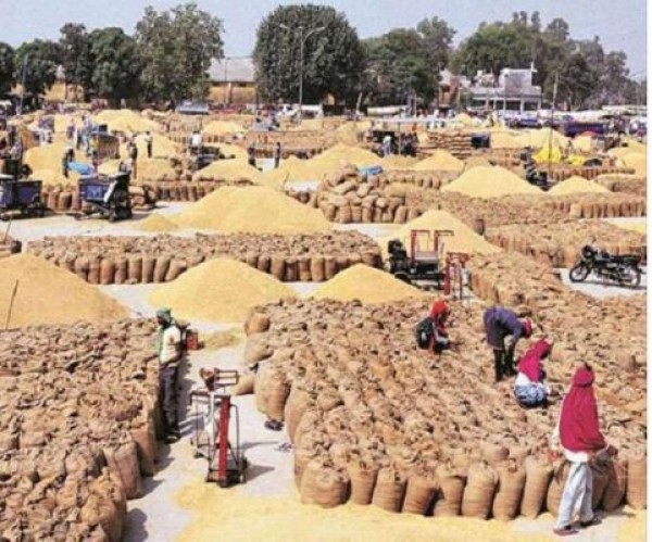 असम चुनाव के पहले चरण में 264 उम्मीदवार