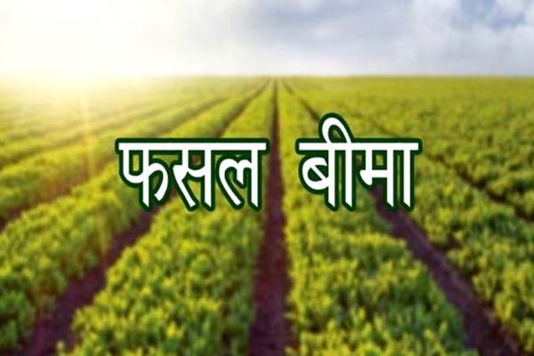 फसल बीमा योजना के लाभ से वंचित किसानों को मिलेगी दावा राशि