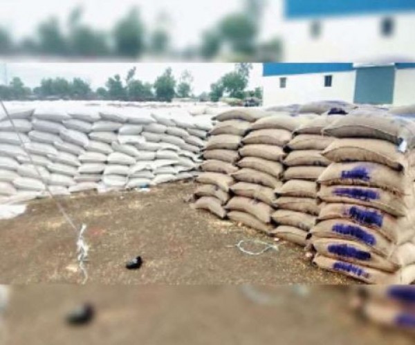 गेहूं भींगने से किसानों को नहीं हुआ कोई नुकसान, भंडारण करने की कार्रवाई जोरोंं पर