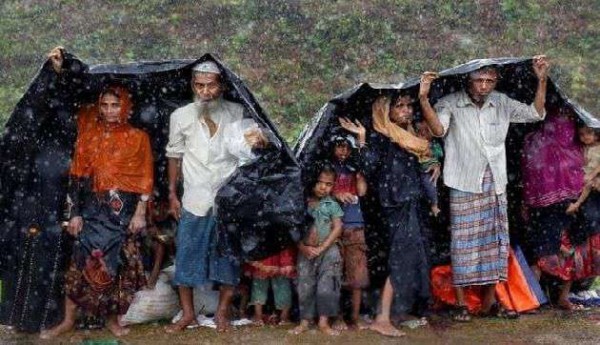 CAA के बाद अब रोहिंग्या के लिए कानून बनाएगी मोदी सरकार, सबको निकाला जाएगा