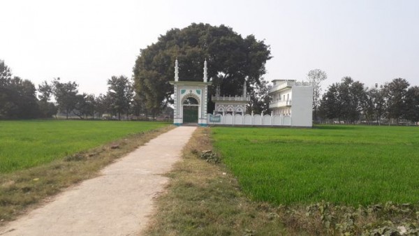 उत्तर प्रदेश सुन्नी सेंट्रल वक्फ बोर्ड ने अयोध्या में मस्जिद निर्माण के लिए ट्रस्ट की घोषणा की