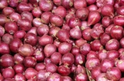 प्याज के आंसू